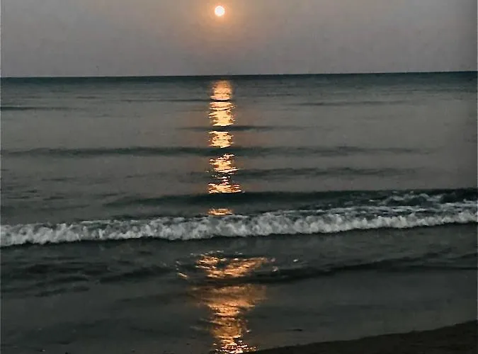 Kareem Flat לרנקה